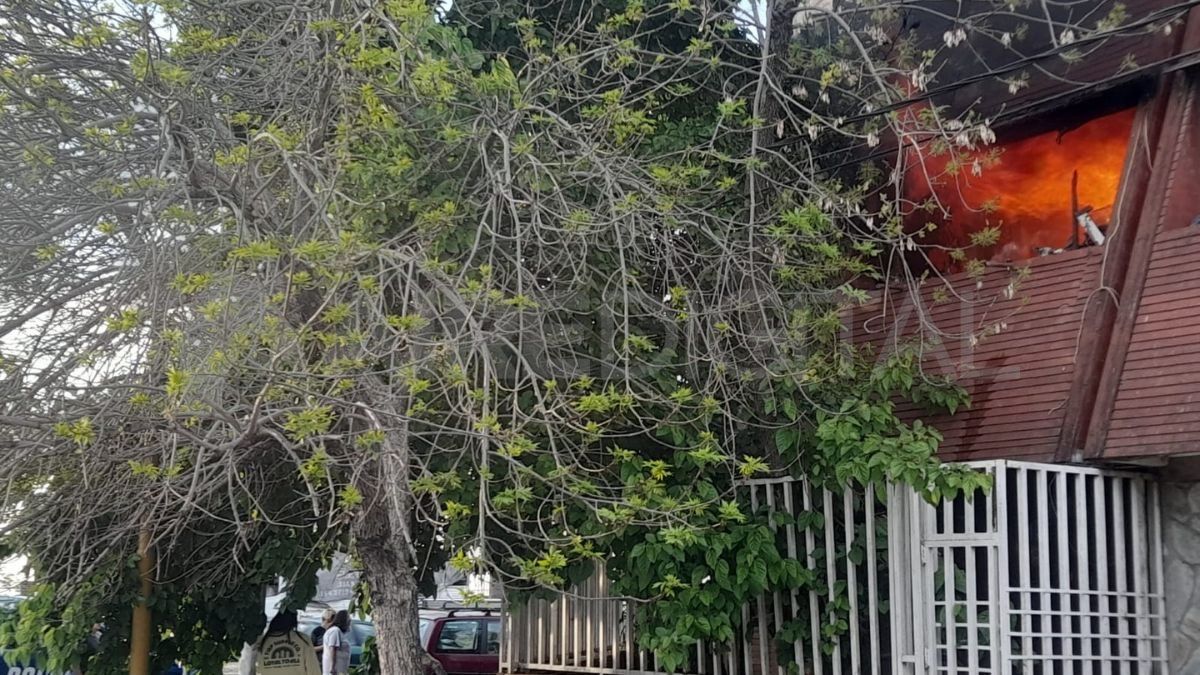 Las llamas se originaron cuando una almohada cayó sobre una estufa.