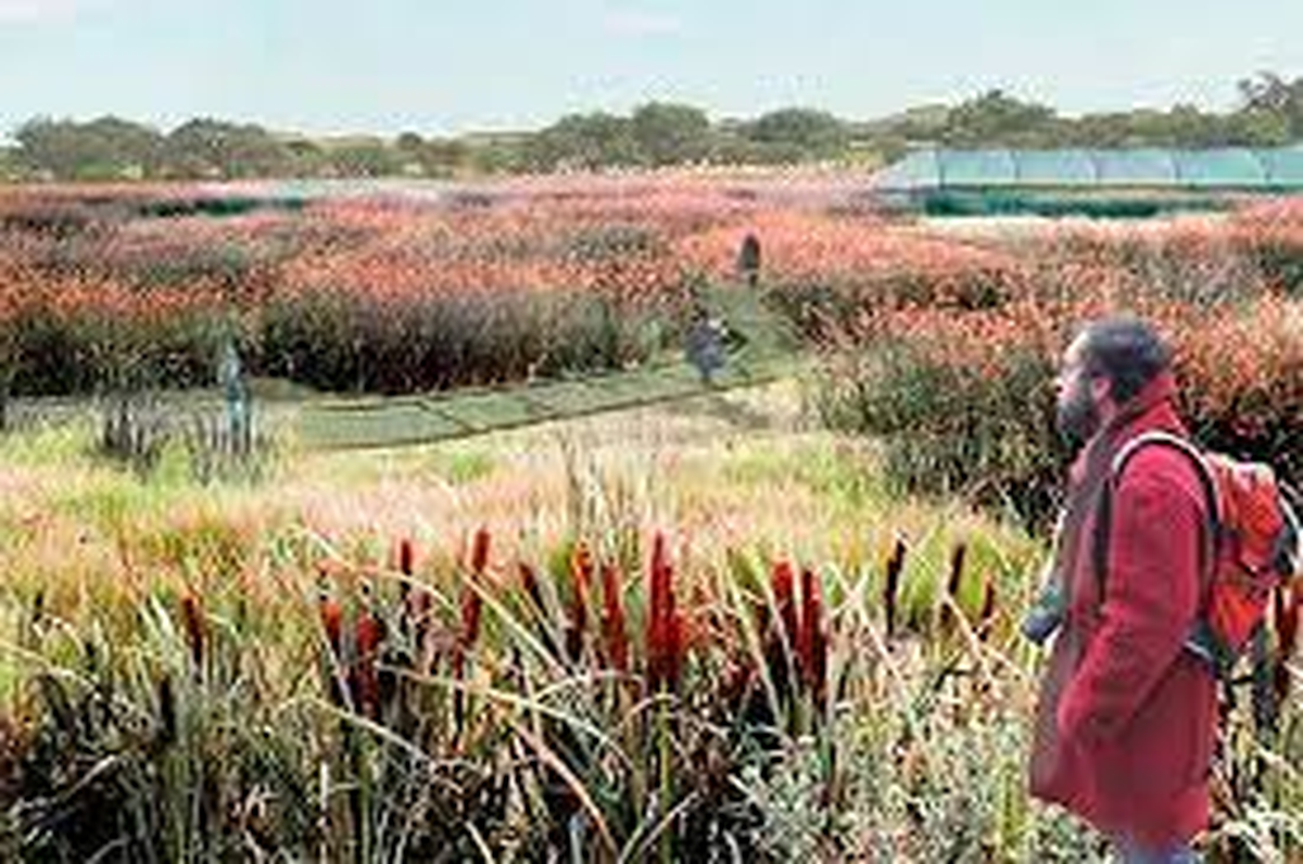 Reserva Natural Urbana del Oeste (Gorostiaga 4659)