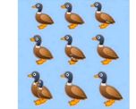 #DuckChallenge #DuckChallenge