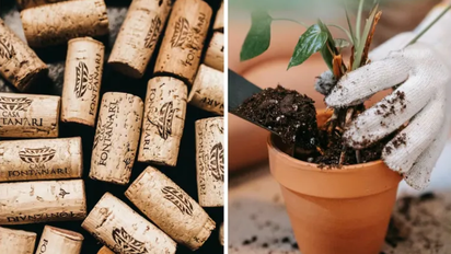 Poner corchos en las macetas de tus plantas: para qué sirve y cuáles son sus beneficios