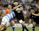 Los Pumas y los All Blacks volvieron a encontrarse tras la icónica victoria argentina de hace dos semanas Los Pumas y los All Blacks volvieron a encontrarse tras la icónica victoria argentina de hace dos semanas