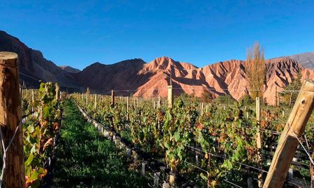 escapada a la ruta del vino en jujuy: las mejores bodegas para visitar entre cerros y paisajes escapada a la ruta del vino en jujuy: las mejores bodegas para visitar entre cerros y paisajes