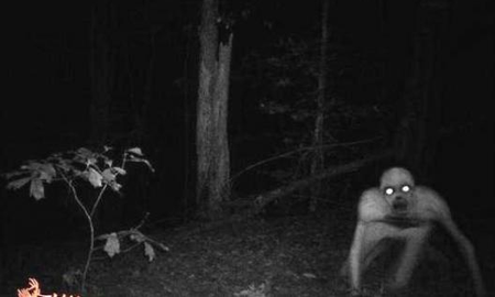Aseguran que apareció un animal mitológico en Salta y quiso asesinar a un trabajador: Vino para llevarse un alma- Foto ilustrativa. Aseguran que apareció un animal mitológico en Salta y quiso asesinar a un trabajador: Vino para llevarse un alma- Foto ilustrativa.
