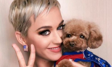Katy Perry recibe duras críticas luego de hacer que su perro sea vegano Katy Perry recibe duras críticas luego de hacer que su perro sea vegano