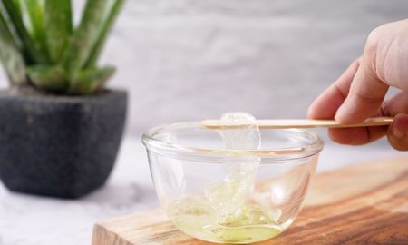 Esta planta cuenta con múltiples propiedades Esta planta cuenta con múltiples propiedades