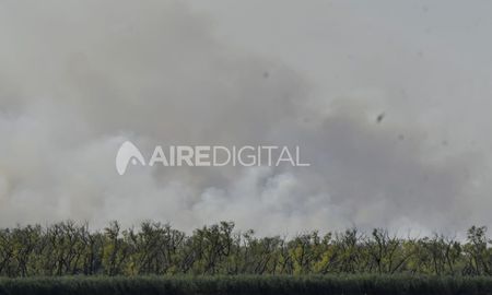Después de la feroz temporada de quemas del 2020, el año 2021 comenzó con presencia de fuego y humo sobre las ciudades costeras a pesar de la creciente del río y de las lluvias registradas a lo largo de enero en algunas zonas de la región. Después de la feroz temporada de quemas del 2020, el año 2021 comenzó con presencia de fuego y humo sobre las ciudades costeras a pesar de la creciente del río y de las lluvias registradas a lo largo de enero en algunas zonas de la región.
