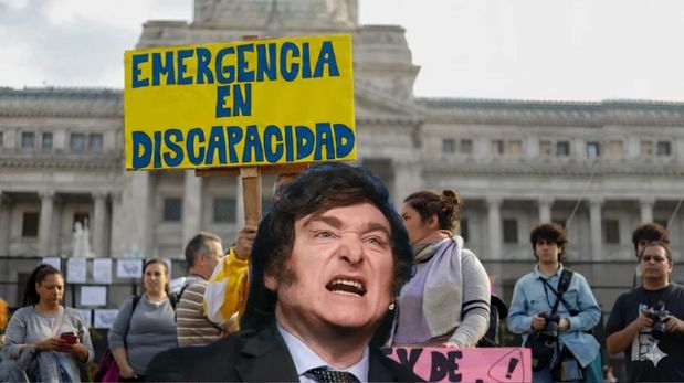 Los diputados de La Libertad Avanza quieren derogar las leyes de discapacidad y universidades.
