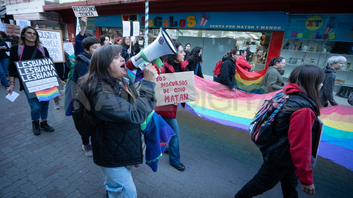 Carina Depaoli, en una de las marchas en la ciudad de Santa Fe. Carina Depaoli, en una de las marchas en la ciudad de Santa Fe.