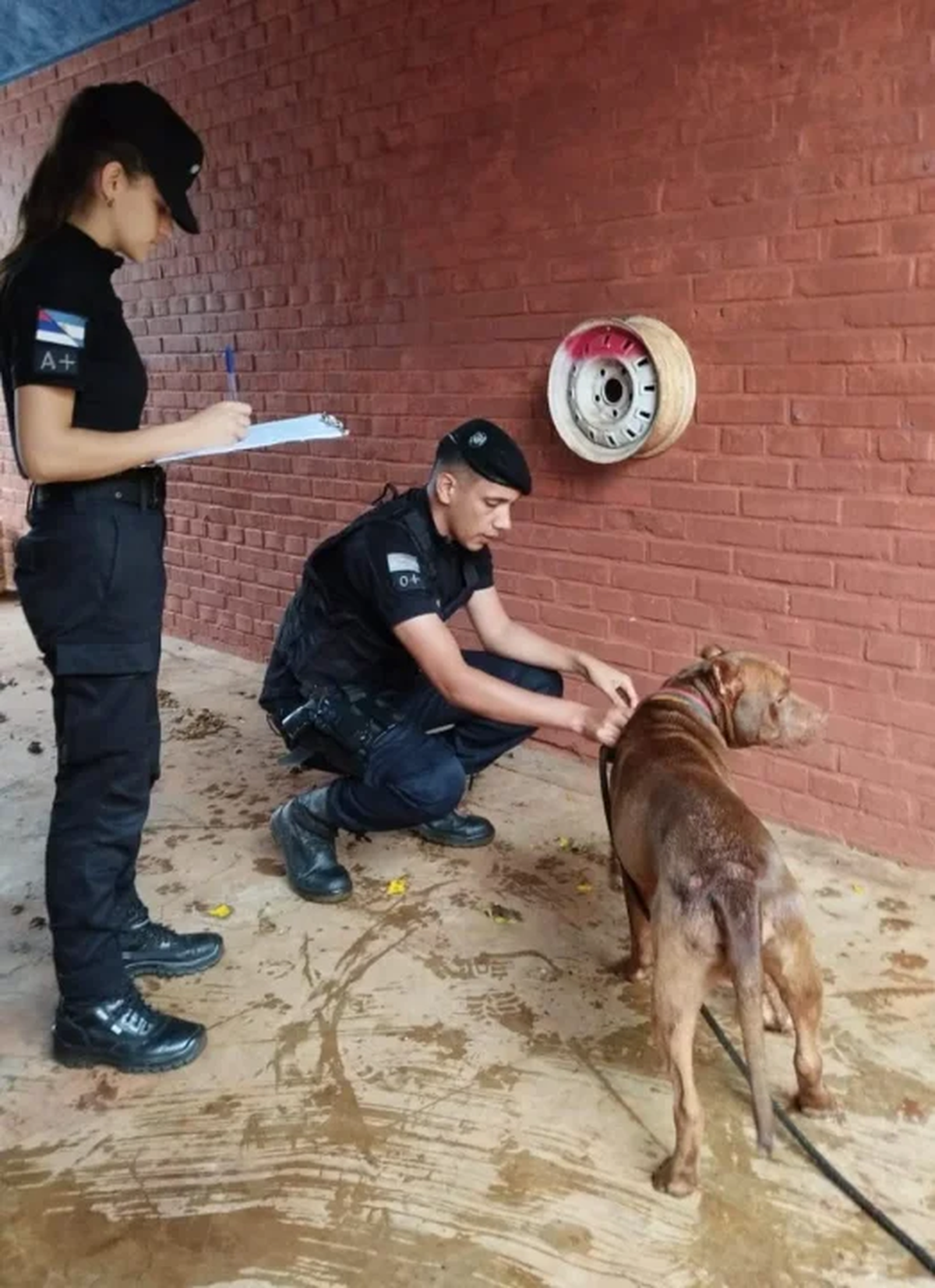 El individuo de 40 años fue identificado y detenido. El individuo de 40 años fue identificado y detenido.