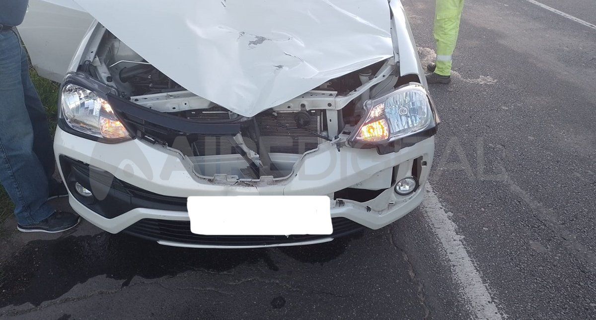 Son recurrentes los avisos de automovilistas sobre la presencia de diferentes animales a lo largo de las rutas provinciales, por lo que se solicita circulas con máxima precaución.