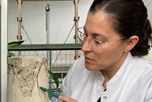 Anabella Gilarducci, investigadora de la UTN de Santa Fe, visitó los estudios de AIRE y explicó como se logró desarrollar una formulación que sella fisuras del hormigón usando bacterias no patógenas. Anabella Gilarducci, investigadora de la UTN de Santa Fe, visitó los estudios de AIRE y explicó como se logró desarrollar una formulación que sella fisuras del hormigón usando bacterias no patógenas.