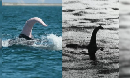 La sorprendente teoría viral sobre la realidad de los monstruos marinos