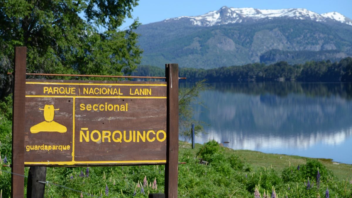 El puente rojo y el volc&aacute;n Llaima regalan una de las postales m&aacute;s impactantes del recorrido.