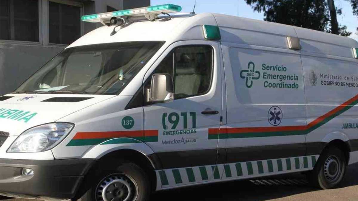 Un hombre de 89 años hirió de un tiro en la mejilla a su esposa de 77 años y luego se suicidó
