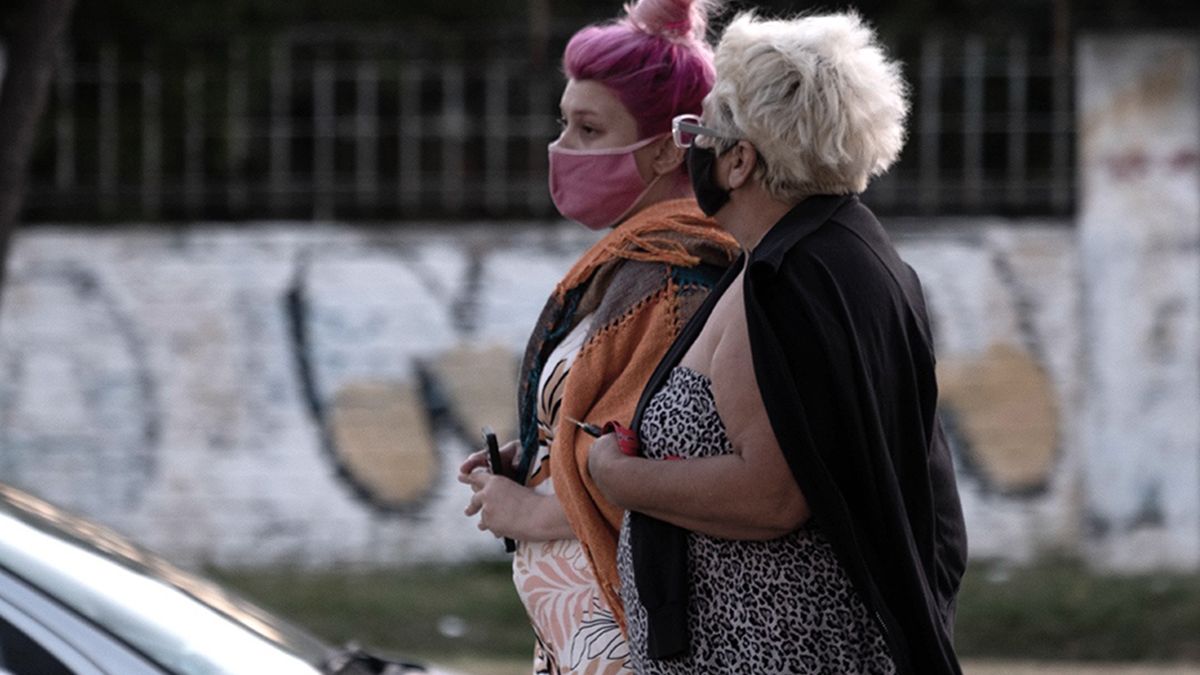 La vigilancia de las variantes de SARS-CoV-2 realizada sobre un total de 626 muestras de la ciudad de Buenos Aires, la provincia de Buenos Aires, Córdoba y la ciudad de Santa Fe determinó la presencia de