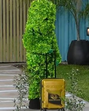 El hombre arbusto entró a la casa de Gran Hermano 2026 para llevarse a los participantes plantas. El hombre arbusto entró a la casa de Gran Hermano 2026 para llevarse a los participantes plantas.
