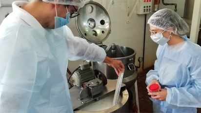 Investigadores del Conicet en Santa Fe desarrollaron un yogur que mejora síntomas gastrointestinales