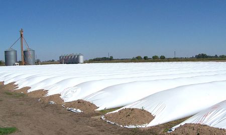 del lote al bolsillo: el arte de cosechar rentabilidad en un mayo de contrastes del lote al bolsillo: el arte de cosechar rentabilidad en un mayo de contrastes