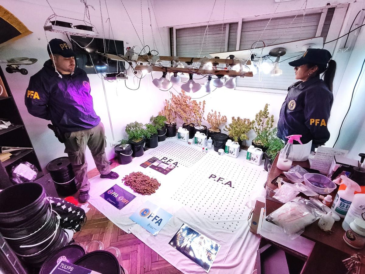 Además de drogas y dinero en efectivo