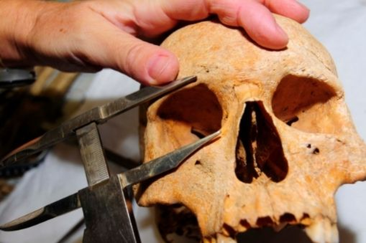 La disciplina de antropología tiene muchas especificidades y especializaciones.