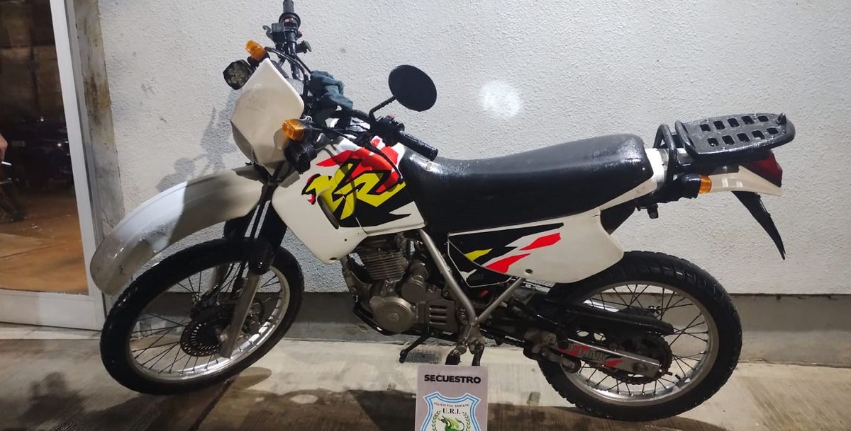 Los vehículos fueron&nbsp; secuestrados por la policía.&nbsp;