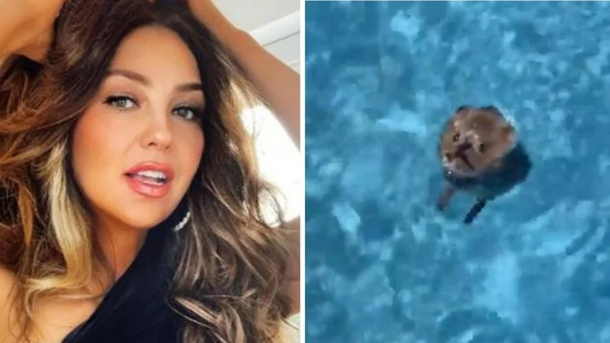 Thalía le salvó la vida a un ratón que se ahogaba en su pileta: Pobrecito ser