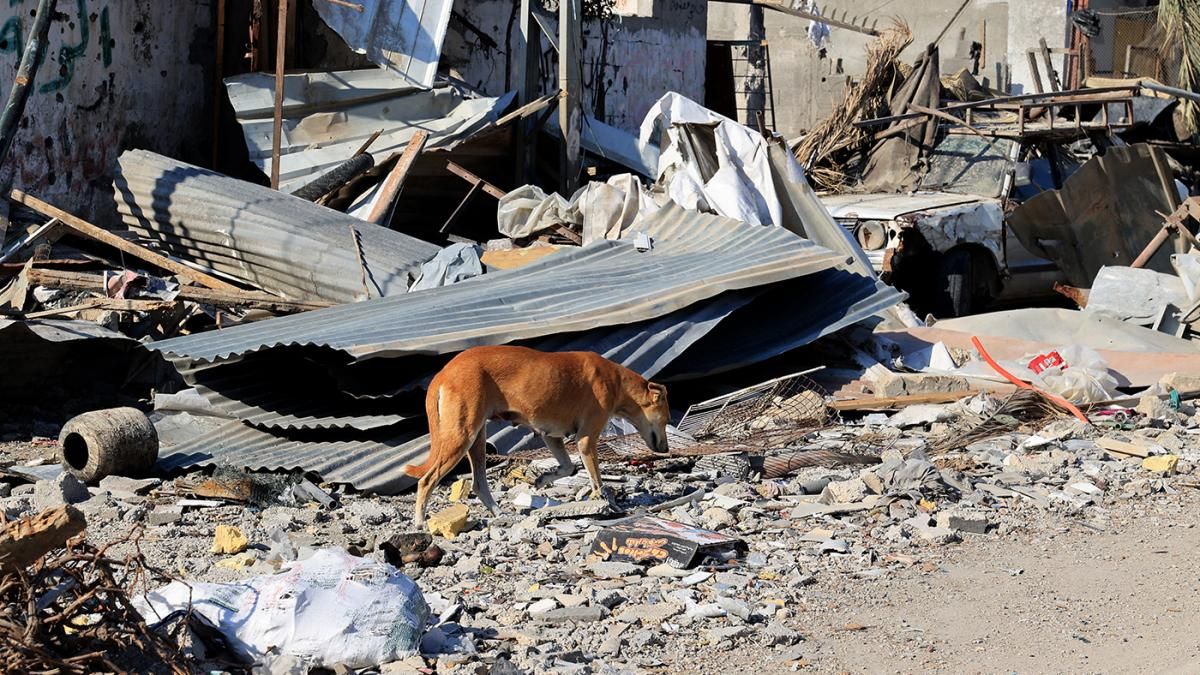 Israel respondió al ataque sometiendo a los 2,3 millones de habitantes de la Franja de Gaza a un asedio total. Israel respondió al ataque sometiendo a los 2,3 millones de habitantes de la Franja de Gaza a un asedio total.