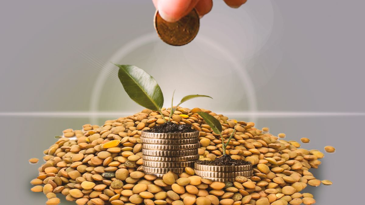 Esta es la forma correcta de hacer el ritual con lentejas en Año Nuevo 2025.