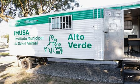 En Alto Verde, la sede del IMUSA que se encuentra en la plaza Evita brindará servicio de 8 a 12. En Alto Verde, la sede del IMUSA que se encuentra en la plaza Evita brindará servicio de 8 a 12.