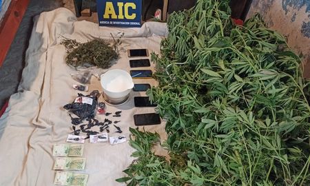 Los operativos culminaron con el secuestro de tres kilos de drogas y la detención de siete personas Los operativos culminaron con el secuestro de tres kilos de drogas y la detención de siete personas