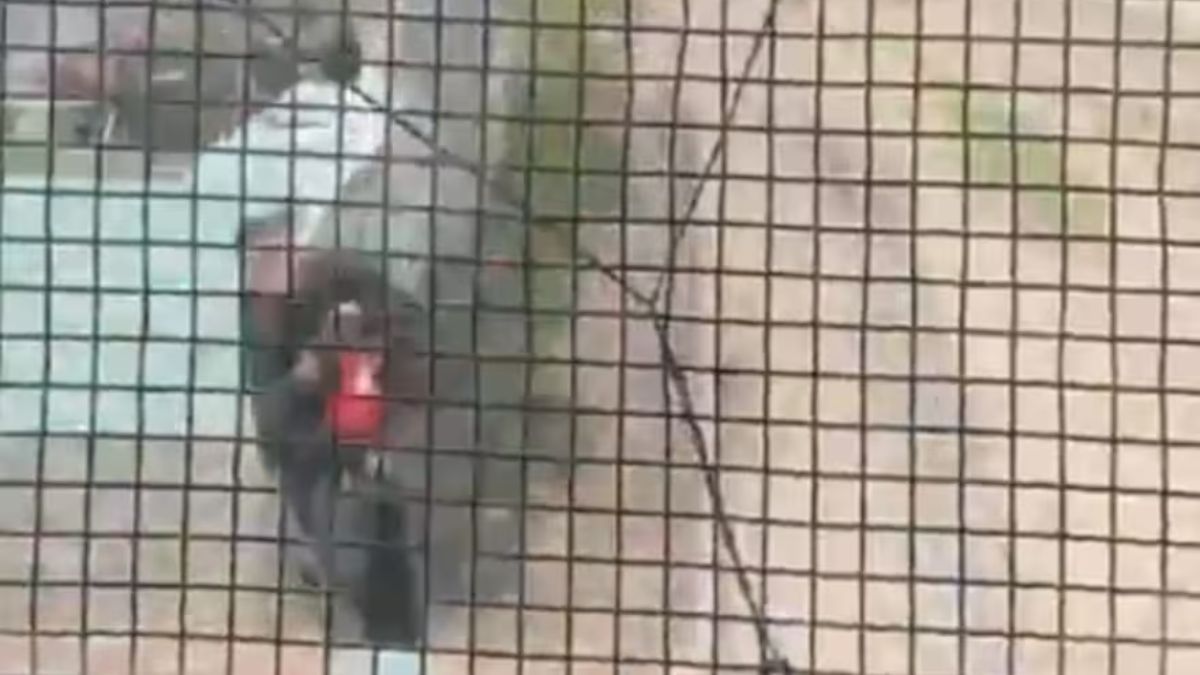 Un policía rescató a un niño de 3 años de las vías segundos antes de ser atropellado por un tren.