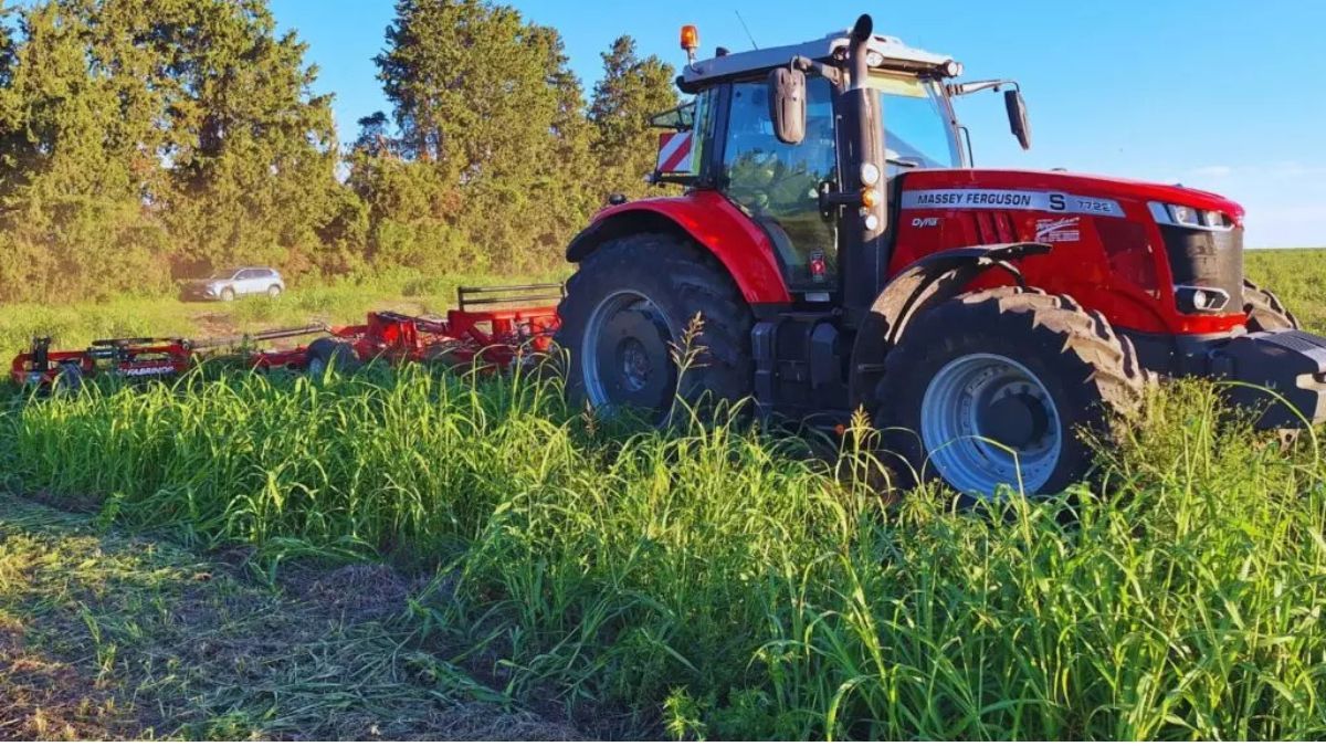 El control de malezas no se limita solo al uso de herbicidas. En el INTA Paraná, se están evaluando otras estrategias de control mecánico y prácticas agrícolas que pueden complementar y alternar con los herbicidas. El control de malezas no se limita solo al uso de herbicidas. En el INTA Paraná, se están evaluando otras estrategias de control mecánico y prácticas agrícolas que pueden complementar y alternar con los herbicidas.