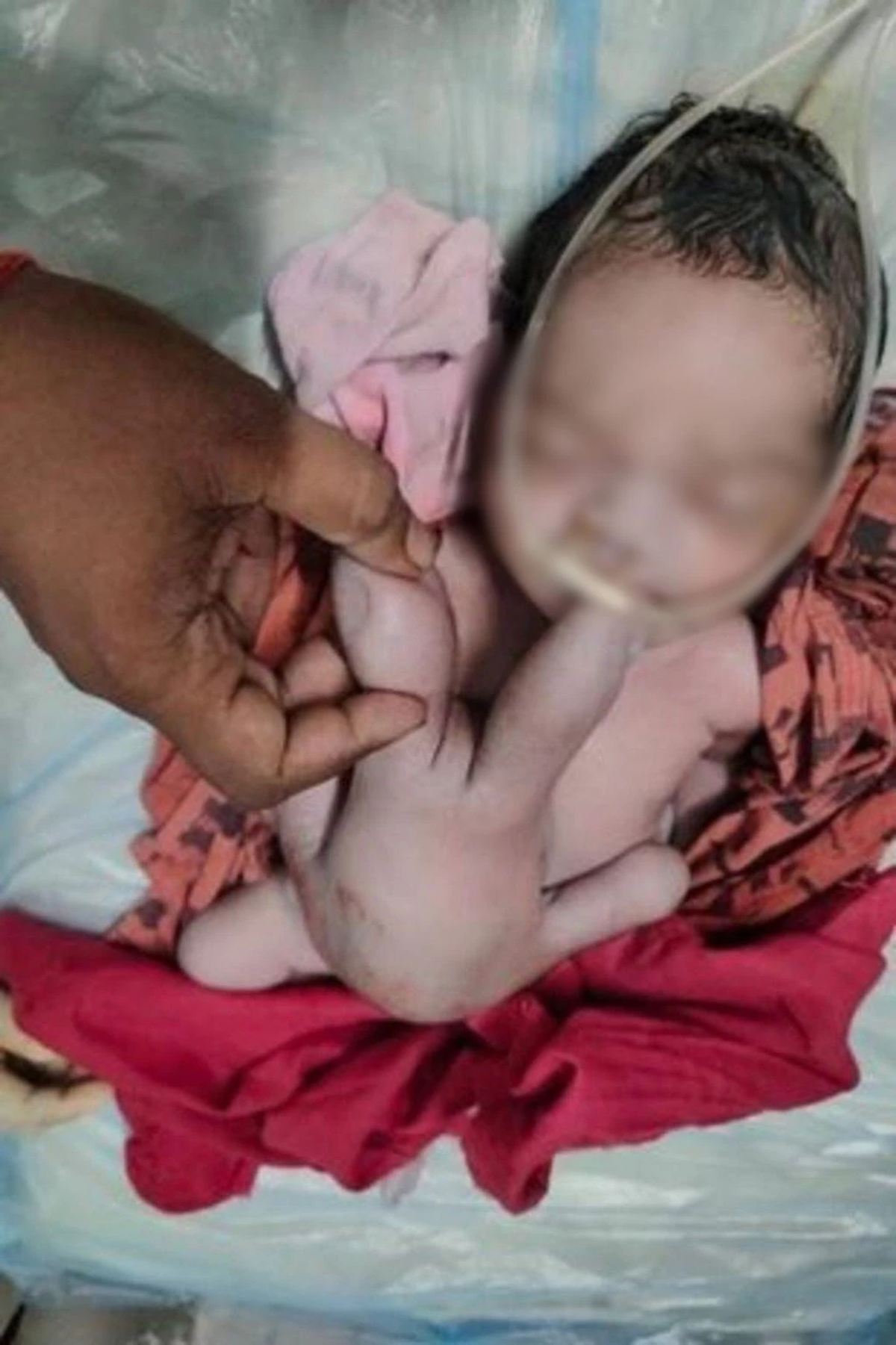 El hecho ocurrió en la India y se tiene la idea de que es la reencarnación de Dios.