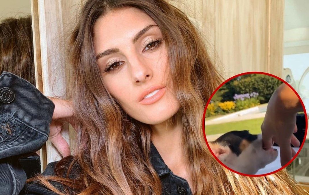 Lola Latorre llegó a la Argentina y se lamentó por el estado de salud de su mascota: Me asusté mucho