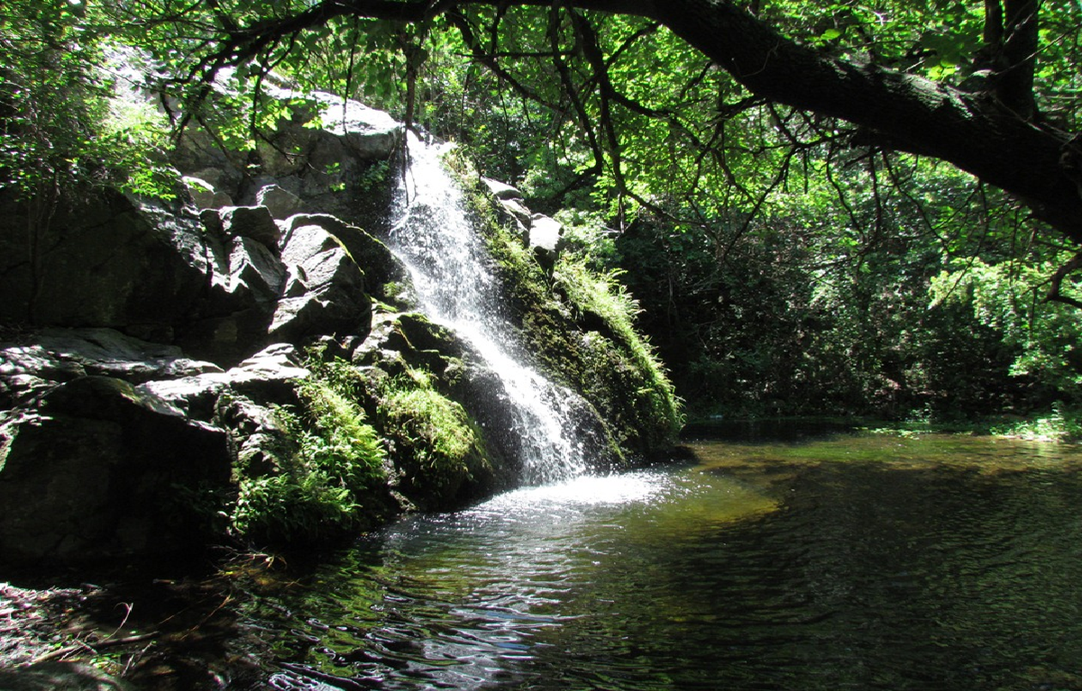 Reserva Natural La Cascada de Santa Rosa de Calamuchita, C&oacute;rdoba