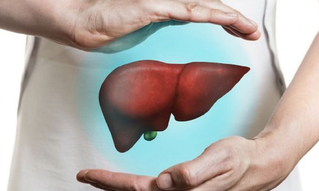 plantas medicinales para cuidar el higado plantas medicinales para cuidar el higado