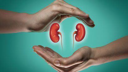 Día Mundial del Riñón: realizarán chequeos gratuitos de salud renal en la Plaza del Soldado