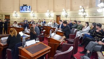 Diario de la Convención: día a día, qué pasó en las primeras cinco semanas de la reforma