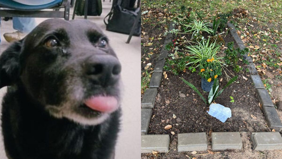 Trabajadores de seguridad y estudiantes sepultaron a Garrafa en el ingreso principal del predio.