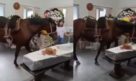 La reacción de Nina ante el ataúd de Pedro Krug conmovió a todos en Brasil. La reacción de Nina ante el ataúd de Pedro Krug conmovió a todos en Brasil.