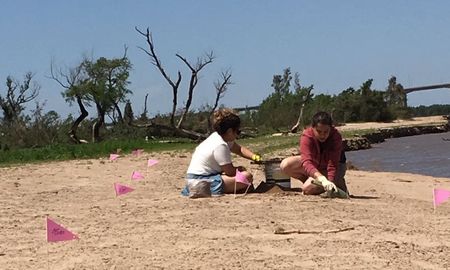 playas plasticas: costas y arenas del rio parana estan contaminadas por plasticos de todos los tamanos playas plasticas: costas y arenas del rio parana estan contaminadas por plasticos de todos los tamanos
