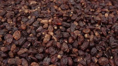 Seguridad alimentaria: la Assal emitió dos alertas para pasas de uva Don Rogelio y Maca Negra