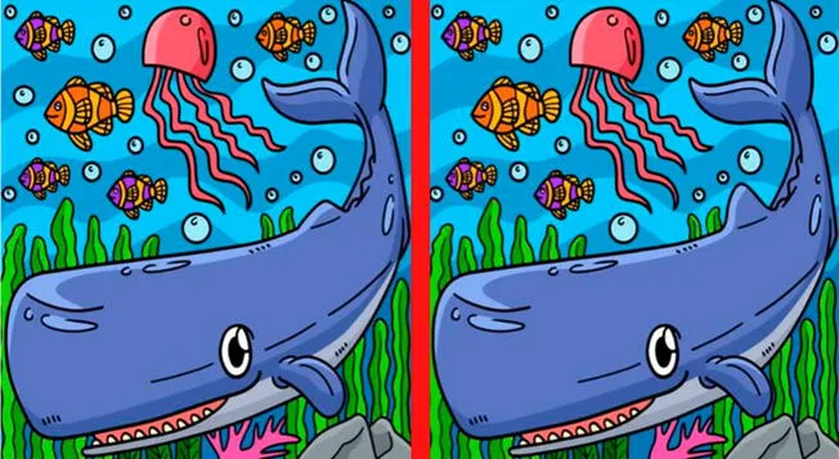 Reto visual, encontrá las diferencias.