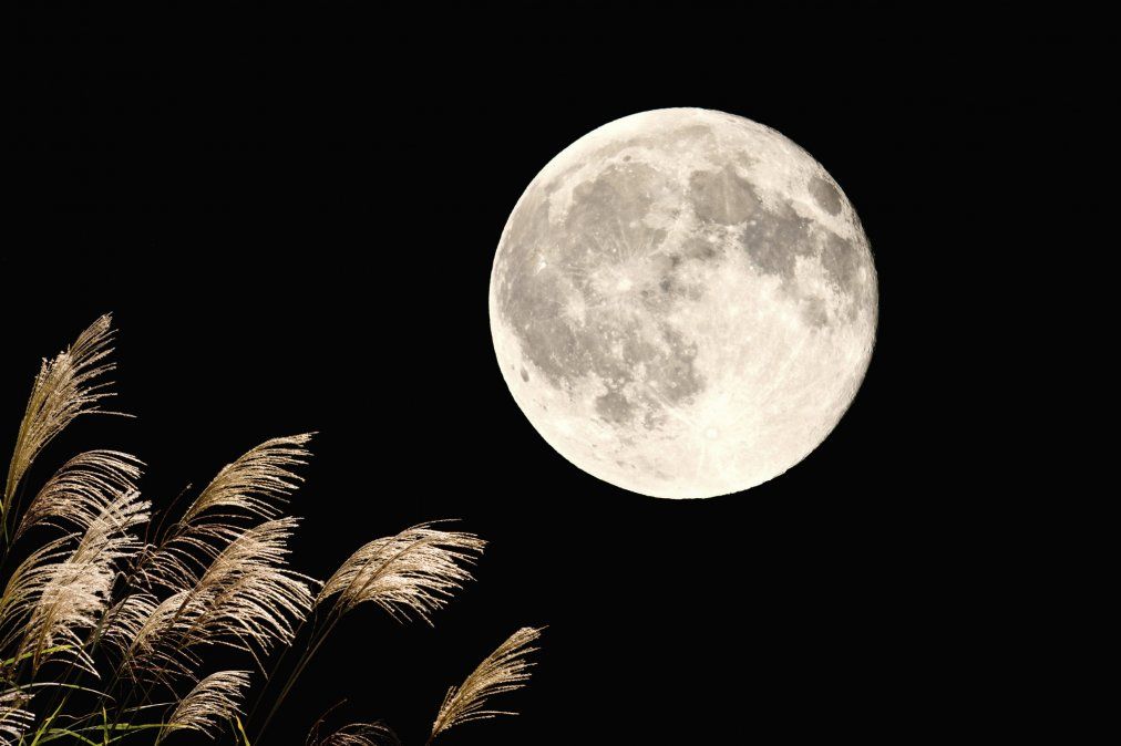 Se cree que las&nbsp; fases de la  luna&nbsp; están relacionadas con el&nbsp; crecimiento de las plantas.