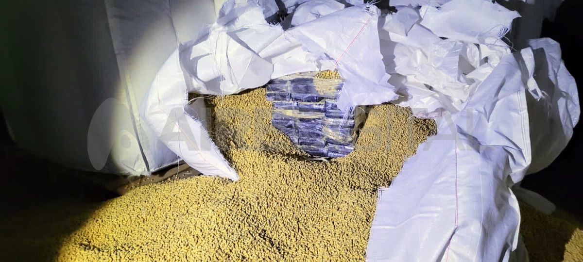 La droga se encontraba oculta en bolsas de grano que iban a ser exportadas.