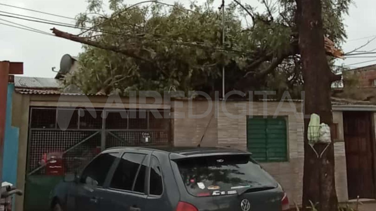 Parte de un árbol se desplomó sobre una casa en Callejón Funes 5500