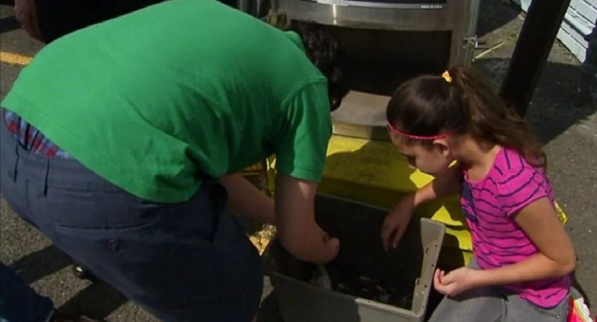 Los secretos de la familia más tacaña del mundo: Nadie ahorra como nosotros