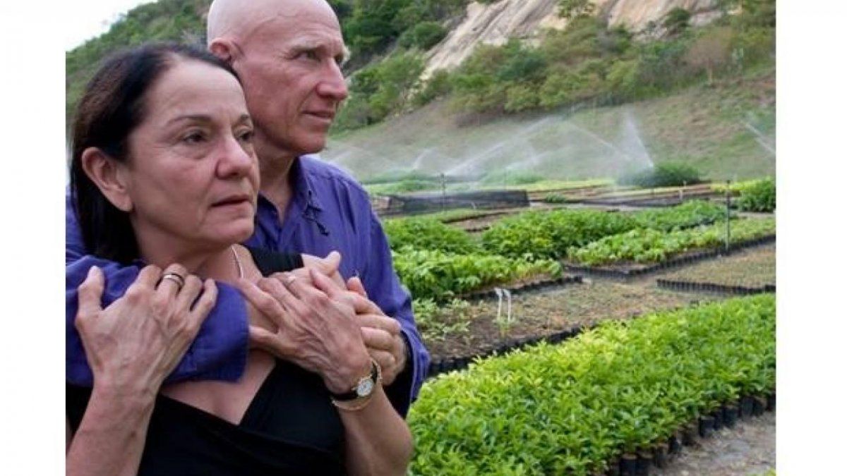 Con 2 millones de árboles y mucho amor, una pareja busca salvar la selva amazónica