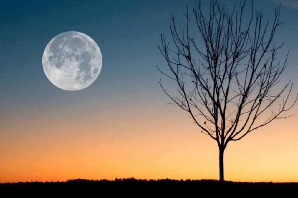 &iquest;c&oacute;mo influenciar&aacute; la Luna en Aries a tres signos del zodiaco? (Imagen ilustrativa)