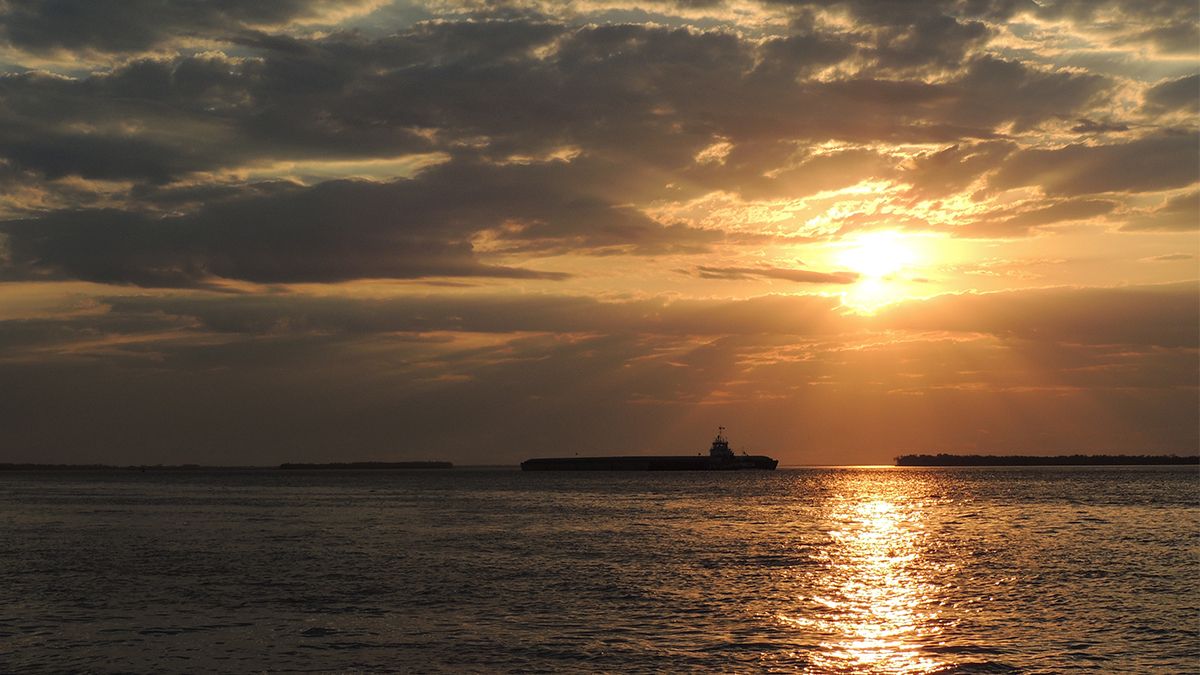 Dorados del Paraná Medio